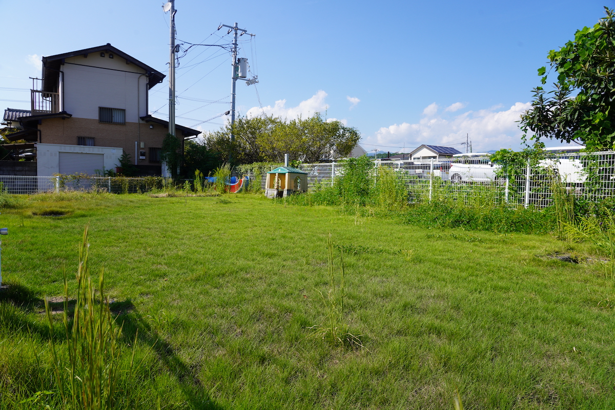 写真4